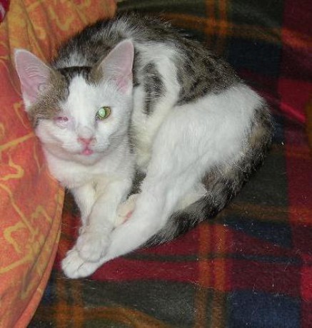 Tečí 2009-10-03.JPG