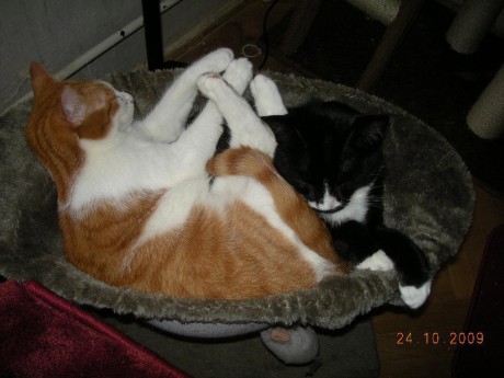 upravenýjames a Evženek.JPG